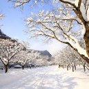 내장산약국 이미지