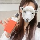 성신여대미용실 헤어마실 길음본점 예성쌤에게 레이어드컷 받은 후기