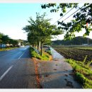 기성파출소 이미지