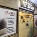 아그니아 이미지