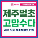 제주벌초