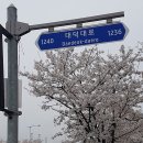 갑천로 이미지