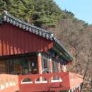 해다람 Daum카페