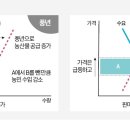 풍년농산물