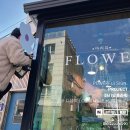 뮤플라워 이미지