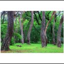 보경사 입구 이미지