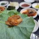 정원약초쌈밥