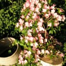 지인농장 이미지