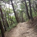 하포길 이미지