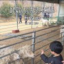 여물소농장 이미지