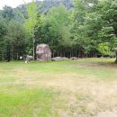 나무새 관광농원 이미지