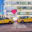 부부 우리 태권도장 이미지