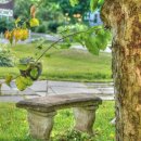 단계동길-2 이미지