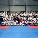 과천 열정 태권도 파워점핑 줄넘기 | 12월 20일 — 한가림 연합도장 합동훈련 후기