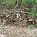 월문초등학교(병설) 이미지