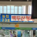 백두산청과