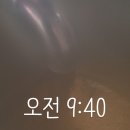 남원흑염소농장 이미지