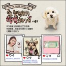 캐논코리아 (주) 이미지