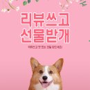 대전은행동 전자담배 이미지