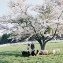 운정목장 이미지