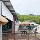 파주 체험형 캠핑장 추천 | 배나무꽃캠핑장 아이와 가기 딱 좋은 이유