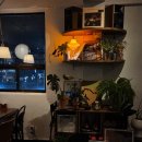 올리브 앤 오렌지 | 삶이 지치고 힘들 때 프렌치 토스트를 먹으러 가는 곳, 고려대 올리브 앤 오렌지 ft. 내돈내산