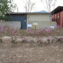 동면 게이트볼장 이미지