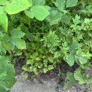 소금산민박 이미지