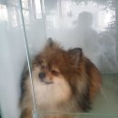 신한은행 신림역 이미지