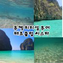 섬 | 푸켓 피피섬 투어 후기 태초클럽 씨스타