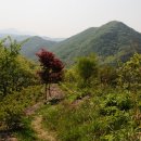 동산경로당 티스토리