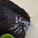 블랙엔화이트 이미지