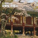소망애견 | 인천 애견동반 여행 강화도 가볼만한곳 전등사 죽림다원