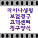 A0293 이미지