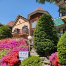 강가애 | [강원/홍천] 강가애펜션: 피라미방 후기/ 바베큐 하면서 하루 묵기 좋은 숙소