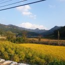 신정리마을회관 이미지