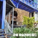 하슬라안전 | 강릉 하슬라아트월드 관람후기 주차정보