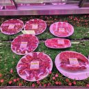 단양정육식당 이미지