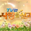 (주)인턴
