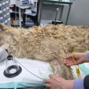 안영농장 이미지