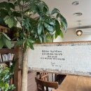 차마당 이미지