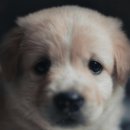 계양SKY동물메디컬센터 이미지