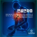 연화레포츠 이미지