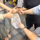 지나간, 일상의 탐구 일지