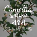남향동 이미지