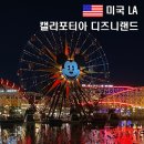 LA여행 미국디즈니랜드 프리비아 할인 티켓