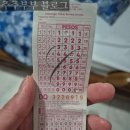 터미널매점 - 보성군 조정래길 2-8 | 수밀론에서 모알보알 버스 이동방법 요금 세부 바토터미널 환승 후기