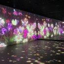 황순원문학촌 소나기마을 이미지