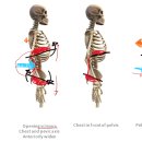 웨이브짐 이미지