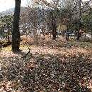 꽃뫼 제사 유적지 이미지